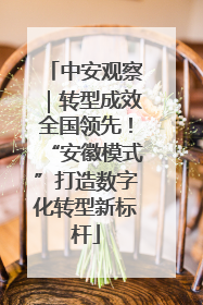 中安观察｜转型成效全国领先！“安徽模式”打造数字化转型新标杆